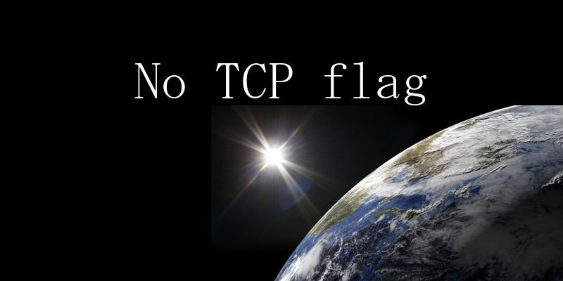 No TCP flag̐